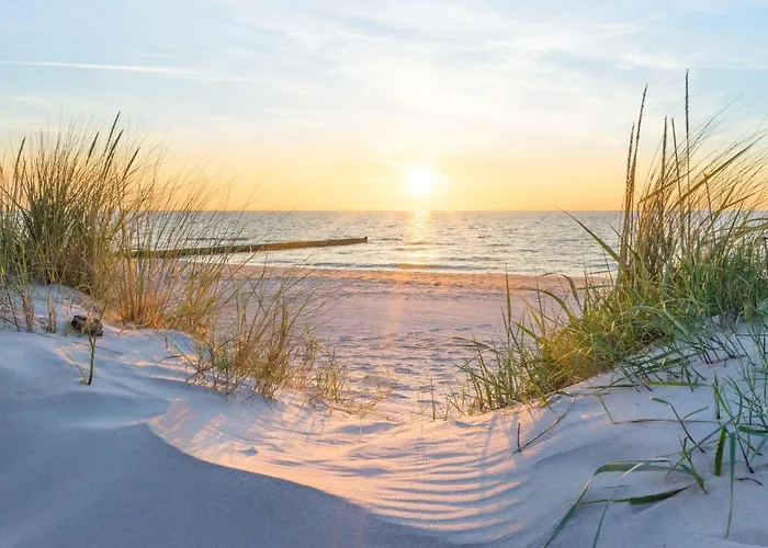 Forum Marinar 25 아파트 제바트헤링스도르프